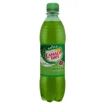 Canada dry 0,5l db
